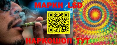 стафф Донской