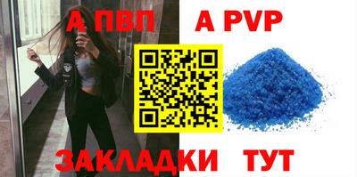 стафф Донской