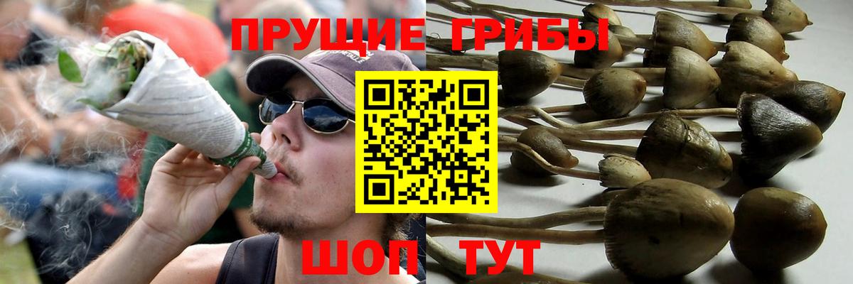 Псилоцибиновые грибы GOLDEN TEACHER Иркутск